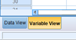 Tabs in the SPSS interface for selecting Data View or Variable View.